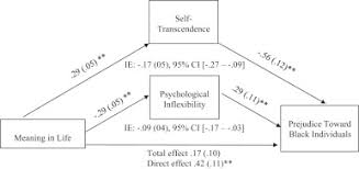 Understanding Meaning And Racial Prejudice Examining Self Transcendence And Psychological Inflexibility In A Sample Of White College Students Sciencedirect