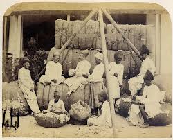 The Cotton Market, from The Indian Amateur's Photographic Album, c. 1856–58. Tarikh-i Hind تاریخِ ھند #TarikhiHind
