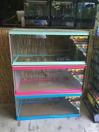 20 Gallon Zoo Med Reptihabitats In Glow In The Dark Green Pink And Blue Hermit Crab Zoo Med Gecko