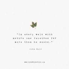 Sometimes a cheeky quote is the truest of all. 50 Unique Family Vacation Quotes And Captions Live A Wilder Life