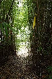 As how comes cinde says non detected on a.mp4 movie also after i converted to dvd yet when it plays it says its there. Karopi Karopi 9 é 