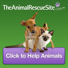 Take Action Today The Animal Rescue Site Animals Animal Rescue Animal Rescue Site