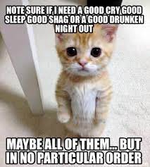 Why let things get so bad that you would have to worry about how to clean a they need cleaning in a far different way than normal shag carpets do. Meme Creator Funny Note Sure If I Need A Good Cry Good Sleep Good Shag Or A Good Drunken Night Out Meme Generator At Memecreator Org