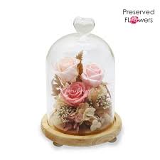 Check spelling or type a new query. Forever And Ever Preserved Flowers Xpressflower Com