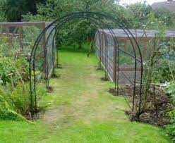 Tradtional Iron Pergolas Rose Tunnel Fruit Tunnel Iron Pergola Pergola Garden Gorgeous Gardens