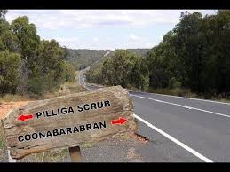 Yowie Sighting On The Newell Hwy Pilliga Scrub Coonabarabran Nsw Bigfoot Sightings Glamping Scrubs