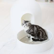 Litiere Compagnie L Igloo Pour Chats Toilette Pour Chat Coin Toilette Ventilation Naturelle