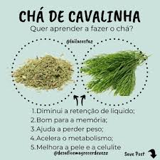 como diminuir a retencao de liquido herbs