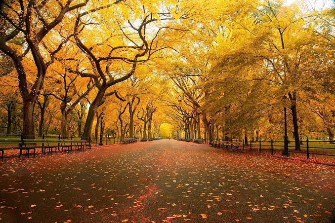 Manzaral� Wallpapers, Manzara Foto�raflar�, Manzaral� Duvar Ka��tlar�