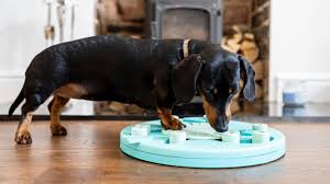 The popular dog puzzle toys tap into a dog's natural instincts to forage, scavenge, and. Nina Ottosson Dog Worker Treat Dispensing Dog Toy By Outward Hound Petsradar