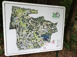 The animal buildings and outdoor enclosures have been skilfully integrated into the wooded surroundings. Wuppertal Zoo Tiger Picture Of Zoo Wuppertal Tripadvisor