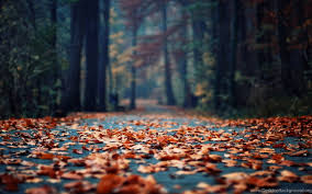 We have an extensive collection of amazing background images carefully chosen by our community. Wallpaper Backgrounds Free High Definition Wallpapers For Mac And Desktop Background