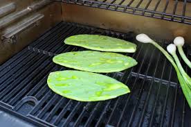 You may not be able to find them everywhere, but they are fairly commonly available at markets in the american southwest. Nopales Asados Grilled Cactus Mama Maggie S Kitchen