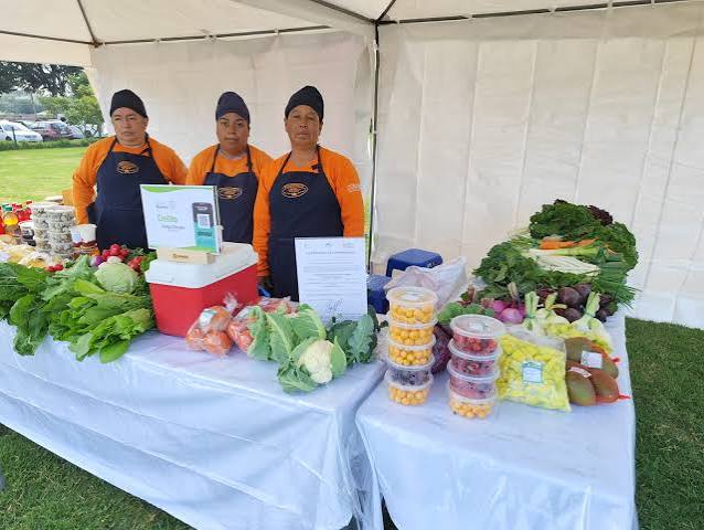 15 Puntos de alimentación saludable en Quito – Quito Informa