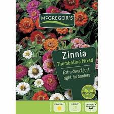 Mcgregor S Thumbelina Mixed Zinnia Flower Seed Zinnia Flowers Flower Seeds Zinnias