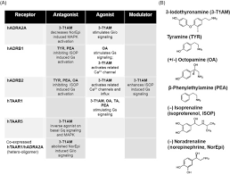 Taar1 Agonists An Overview Sciencedirect Topics