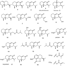 Chemical Studies of Cremanthodium (Asteraceae) Species; Sesquiterpenoids  and Related Compounds - Motoo Tori, Yoshinori Saito, Xun Gong, Chiaki  Kuroda, 2019