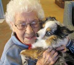 Susan Bodin's Instagram, Twitter & Facebook