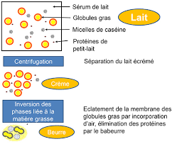Technologie Des Produits Beurriers
