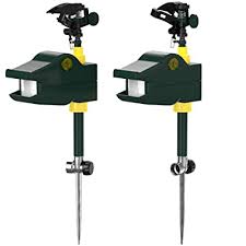 Jet spray fox repeller deter cat dog rabbit squirrel water pest control stv415. Buy Hoont Motion Activated Jet Blaster Yard And Garden Animal Rodent Repellent Online In Qatar B07spfsczj