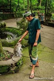 Maybe you would like to learn more about one of these? Getting Attacked By Monkeys In Monkey Forest Ubud Bali Nerd Nomads