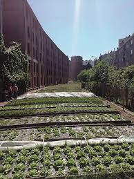 pin by huhuhu on 农业 in 2021 urban farming urban park urban agriculture