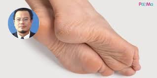 Definisi/arti kata 'tapak' di kamus besar bahasa indonesia (kbbi) adalah n 1 bidang kaki sebelah bawah, biasa digunakan untuk menapak; Tapak Kaki Merekah Bukan Sebab Lantai Semata Mata Ada Kaitan Dengan Kesihatan Mama Kena Ambil Tahu Pa Ma