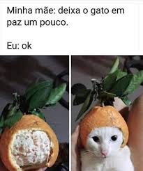 Stir Me Adli Kullanicinin Memes Panosundaki Pin 2020 Vine