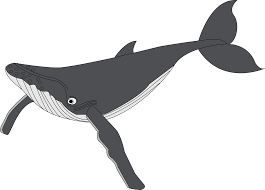 Ikan paus icons ( 181 ). Paus Satwa Ikan Kehidupan Gambar Vektor Gratis Di Pixabay