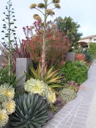 Ca Friendly Design Ideas Roger S Gardens Succulent Landscape Design Drought Tolerant Garden Succulent Landscaping