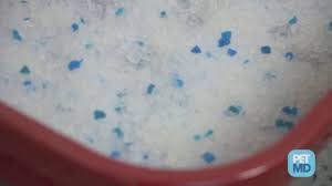 Soiled clay litter cannot be composted. Non Clumping Clumping What Is The Best Cat Litter Petmd