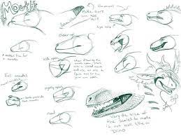 How To Draw A Dragon Dragon Drawing Dragon Anatomy Dragon Sketch