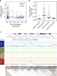 Boris j winterhoff, md, is a gynecological oncology specialist in minneapolis, minnesota. Epigenetic Analysis Leads To Identification Of Hnf1b As A Subtype Specific Susceptibility Gene For Ovarian Cancer Nature Communications