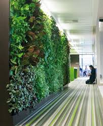 Increases aesthetic value of the place. Greenurbanlife Vertical Garden Indoor