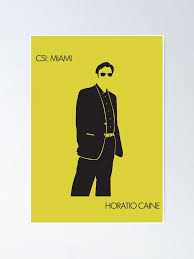 Horaciat kane glasses / horatio caine silhouette sunglasses : Horatio Caine Sunglasses Ascii