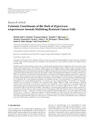 Image result for Hypericum roeperianum