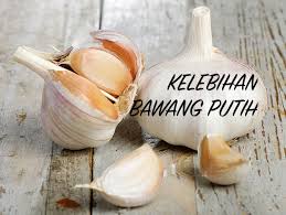 Kelebihan ayam bangkok warna putih juga terdapat di pukulan saja,kuat,tajam dan terarah,jika tepat mengenai bagian kepala ayam lawan,tidak membutuhkan waktu lama,mungkin bisa langsung. Kelebihan Bawang Putih Pengedar Shaklee Setia Alam Mysupervitamins Com