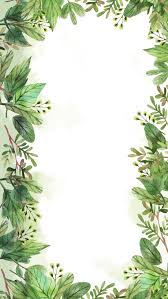 Parsley Plant Herb Leaf Background Leaf Background Flower Background Wallpaper Floral Poster