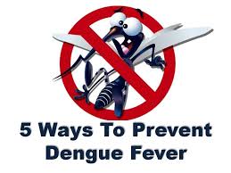 The following preventive methods can help stop the breeding of the dengue carriers: 5 Ways To Prevent Dengue Fever Youtube