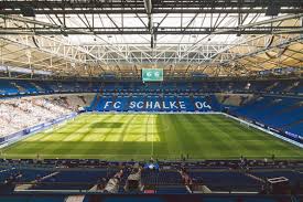 Wir haben mehrere threads, in denen wir über fußball außerhalb schalkes sprechen. 493 Beste Schalke Bilder Stock Fotos Vektorgrafiken Adobe Stock