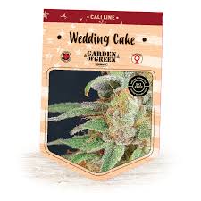 Birthday cake kush has been dubbed with quite a few names. Wedding Cake Seeds Gog Seeds Bank