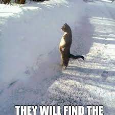 15 Funny Memes About Spring