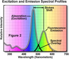 Fluorescence Overview Of Fluorescence Excitation And