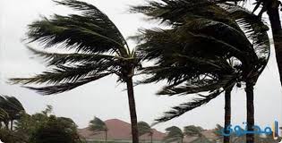 ٢ أدعية متعلقة بالرعد والمطر. Ø¯Ø¹Ø§Ø¡ Ø§Ù„ØºØ¨Ø§Ø± ÙˆØ§Ù„Ø±ÙŠØ­ Ø§Ù„ÙˆØ§Ø±Ø¯ Ø¹Ù† Ø§Ù„Ø±Ø³ÙˆÙ„ Ù…ÙˆÙ‚Ø¹ Ù…Ø­ØªÙˆÙ‰