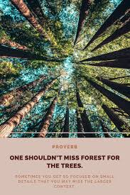One Shouldn T Miss Forest For The Trees English Proverb Positive Quotes Context Words Of Wisdom