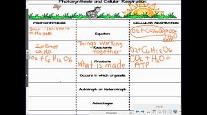 Compare And Contrast Cellular Respiration And Photosynthesis Lesson