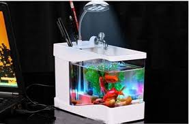 Home And Office Gift 3 In 1 Mini Fish Tank Usb Aquarium Manufacture Aquarium Small Birthday Gifts Office Gifts