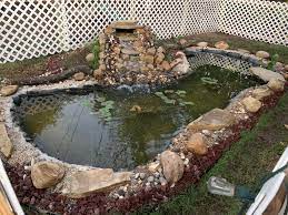 Check spelling or type a new query. Added The Fishing Line To Help Keep Birds Away I Have The Waterfall Filter And The Prefilter Around The Pump But It Got Really Green After The Rain The Other Day Not
