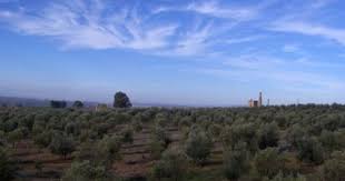 Sierra Morena Tierra De Minas Y Aceite Web Oficial De Turismo De Andalucia En 2020 Viajar Por Espana Andalucia Turismo