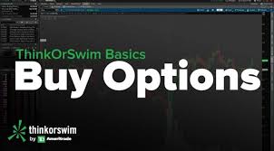 Thinkorswim Basics Tutorial How To Buy Options Top